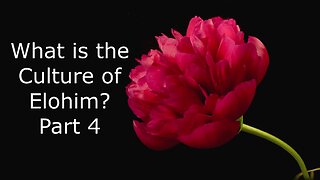 What is the culture of the Elohim? Part 4