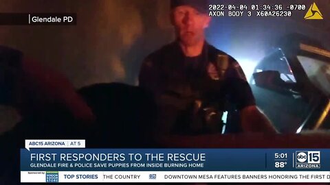 Glendale Fire rescues puppies during house fire