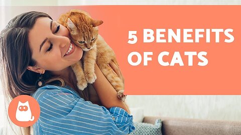 5 BENEFITS of Having a CAT 😻 For Health and Happiness