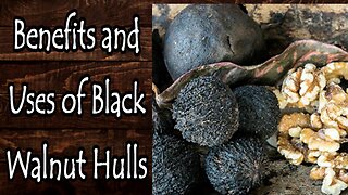Benefits and Uses of Black Walnut Hulls
