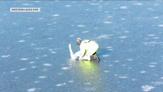 Video captures moment officials saved a swan stuck on ice in Waukesha County