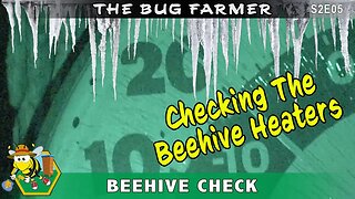 Beehive Heater Check -- January cold weather returns and the bees are still warm as bugs in a rug.