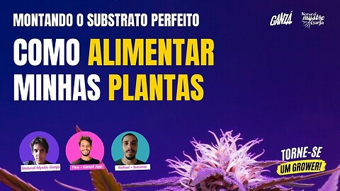 Montando o SUBSTRATO e a ALIMENTAÇÃO da Planta - SEMANA TORNE-SE UM GROWER - Dia 3