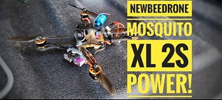 Newbeedrone Mosquito XL maiden | 2S conversion