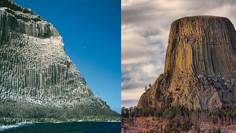 Some Mountains May Be Ancient Giant Trees - HaloRock