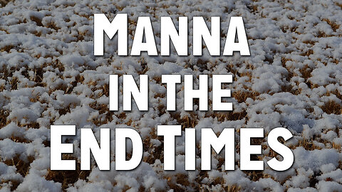 Operating in the Spirit Realm: Manna in the End Times