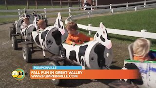 Fall Fun at Pumpkinville