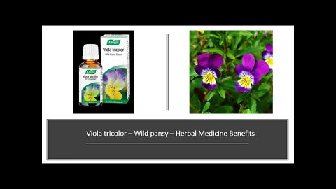 Viola tricolor - Wild Pansy - Heartease Herbal Medcine Benefits