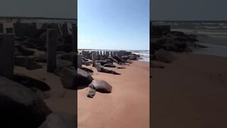 Walking by the Old Dock at Tracadie Beach