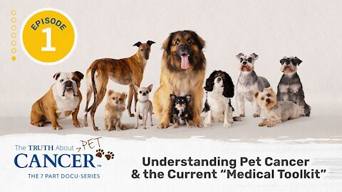 Episode 1 of The Truth About Pet Cancer | Understanding Pet Cancer & the Current "Medical Toolkit"