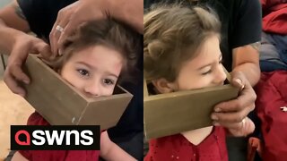 Funny moment 5-year-old gets box shelf stuck on her head after using it as crown