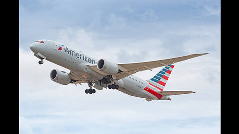 American Airlines Plane Diverted for 'Offensive' Name Passenger Called Flight Attendant