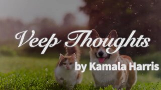 Veep Thoughts by Kamala Harris: Racism