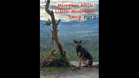 Memphis Walks, Little Mountain Part 2