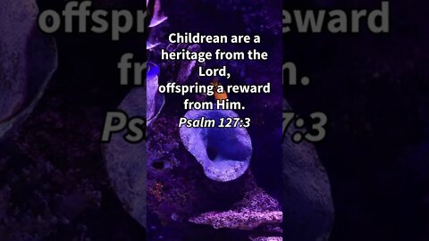 CHILDREN ARE A GIFT! | MEMORIZE HIS VERSES TODAY | Psalm 127:3