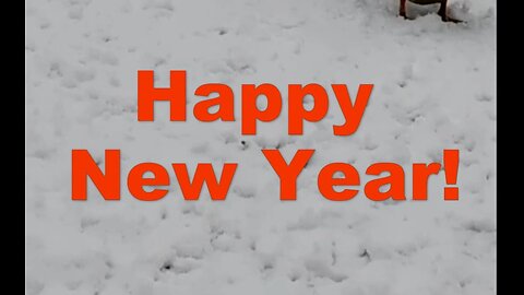 Happy New Year from Pioneer Mountain Homestead