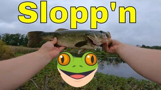 Getting Dirty for the Good Ones-Sloppy Frog Fishing for bass
