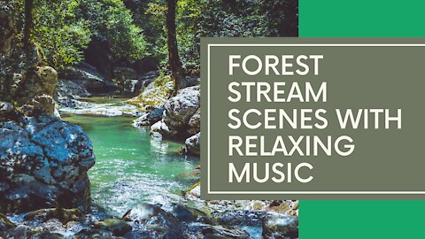 FOREST STREAM SCENES WITH RELAXING MUSIC