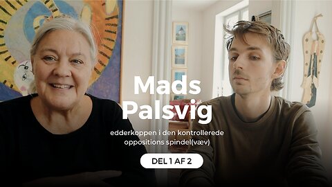 Mads Palsvig - edderkoppen i den kontrollerede oppositions spindel(væv) - del 1 af 2