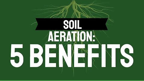 SOIL AERATION: The 5 Benefits of aerating to give you healthy green grass