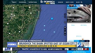 Great White Shark spotted in ocean east of Ocean City