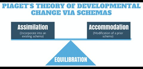 The link between cognitive and immunological development