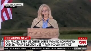 Liz Cheney hilariously compares herself with Abe Lincoln