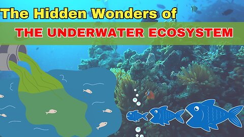 The Hidden Wonders of the Underwater Ecosystem