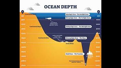 Top 5 Human Impacts on the Mariana Trench #marianatrench #sea