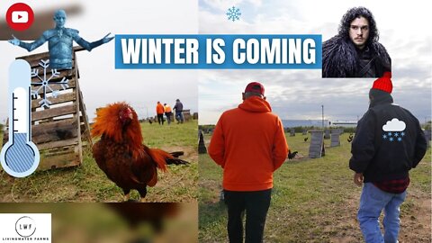 HOW to Get Ready For A FREEZE // Gamefarm Gamefowl Winter Maintenance