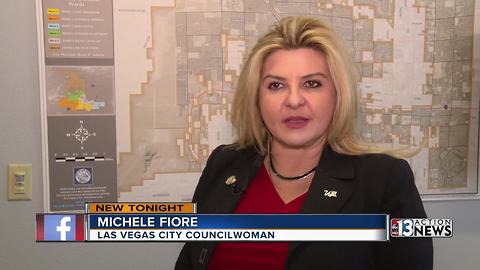 Councilwoman Michele Fiori talks about arming teachers