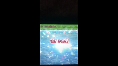 I caught a shiny (my first one ever)