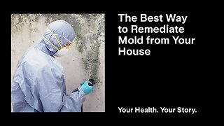 The Best Way to Remediate Mold from Your House