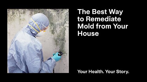 The Best Way to Remediate Mold from Your House