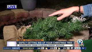 Properly dispose of your Christmas tree to prevent fires
