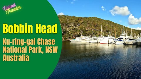 Bobbin Head, Ku ring gai Chase National Park, NSW, Australia