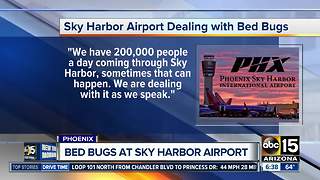 Sky Harbor Airport dealing with bed bugs