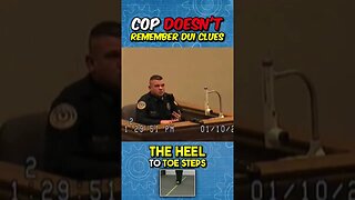 POLICEMAN Cannot Remember THE CLUES