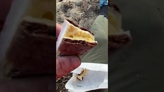 Eating an Ice cream sandwich backpacking?