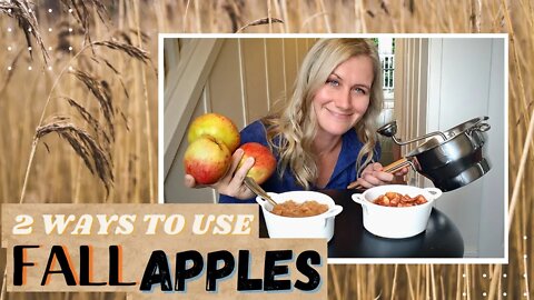 How to make Applesauce at home | Dehydrated Cinnamon Apples | Unsweetened Apple Sauce