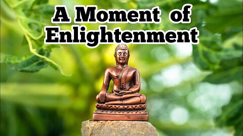 What It Feels Like To Be Enlightened!