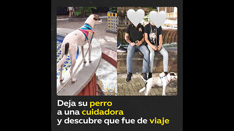 Mexicana deja su perro a una cuidadora y descubre que la mascota tuvo un viaje de aventuras