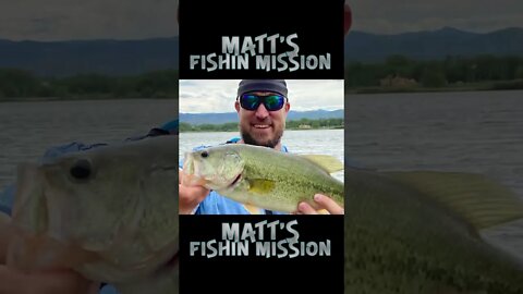 Colorado Crush! The best of Colorado fishing!