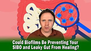 Can Biofilms Be Preventing Your SIBO and Leaky Gut From Healing?