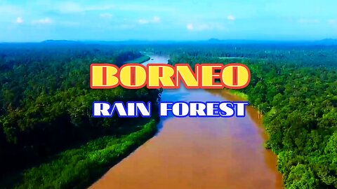 Borneo Jungle| Beautiful Tropical Rainforest In Asia |
