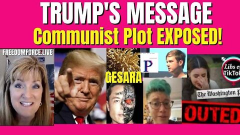 MELISSA REDPILL 4/20/22 - TRUMP'S MESSAGE -COMMUNIST PLOT EXPOSED -ELON