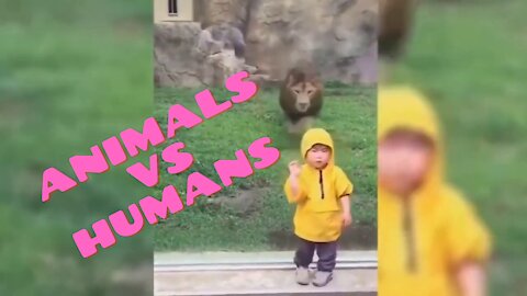 ANIMALS VS HUMANS COMPILATION