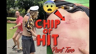 Chip Or Hit! Part 2!