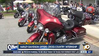 Harley Davidson Internship