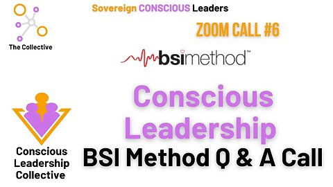 6 Conscious Leadership BSI Method Q & A Call